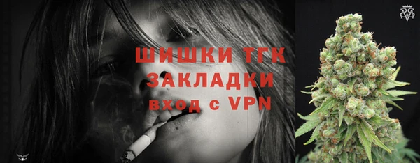 шишки Покров