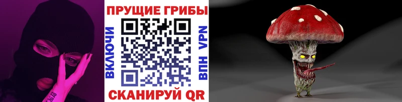 Галлюциногенные грибы Psilocybe  Шахунья 